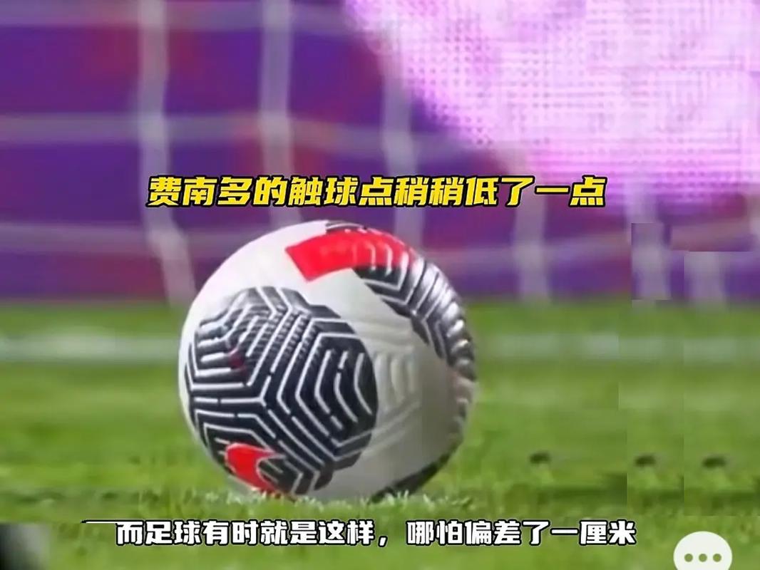 作出了努力